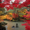 清水園の秋12