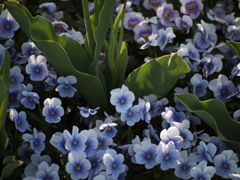 未来の子供たち