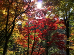 センターポジション