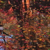 中野邸美術館の紅葉2