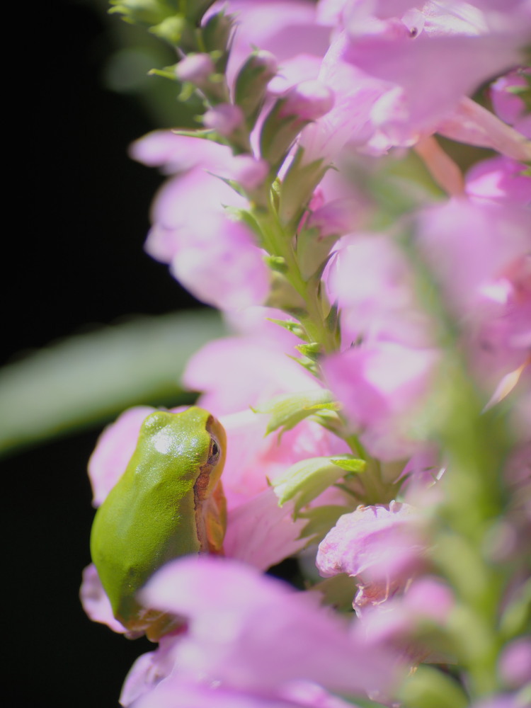 このままここで・・・