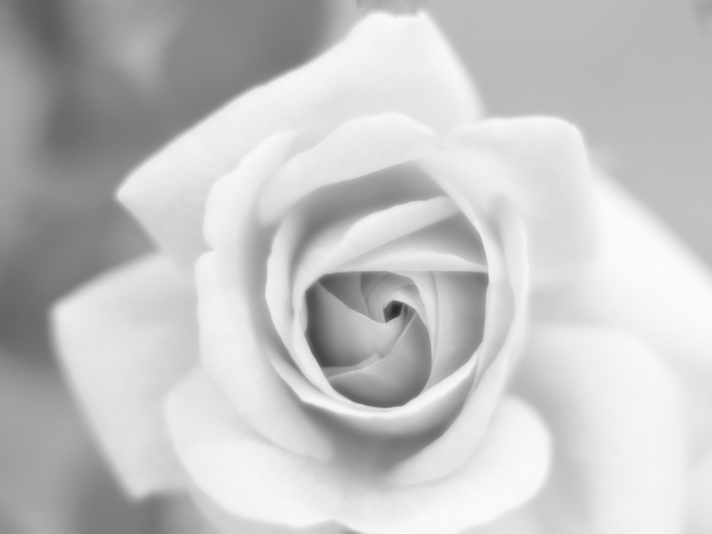 絞
