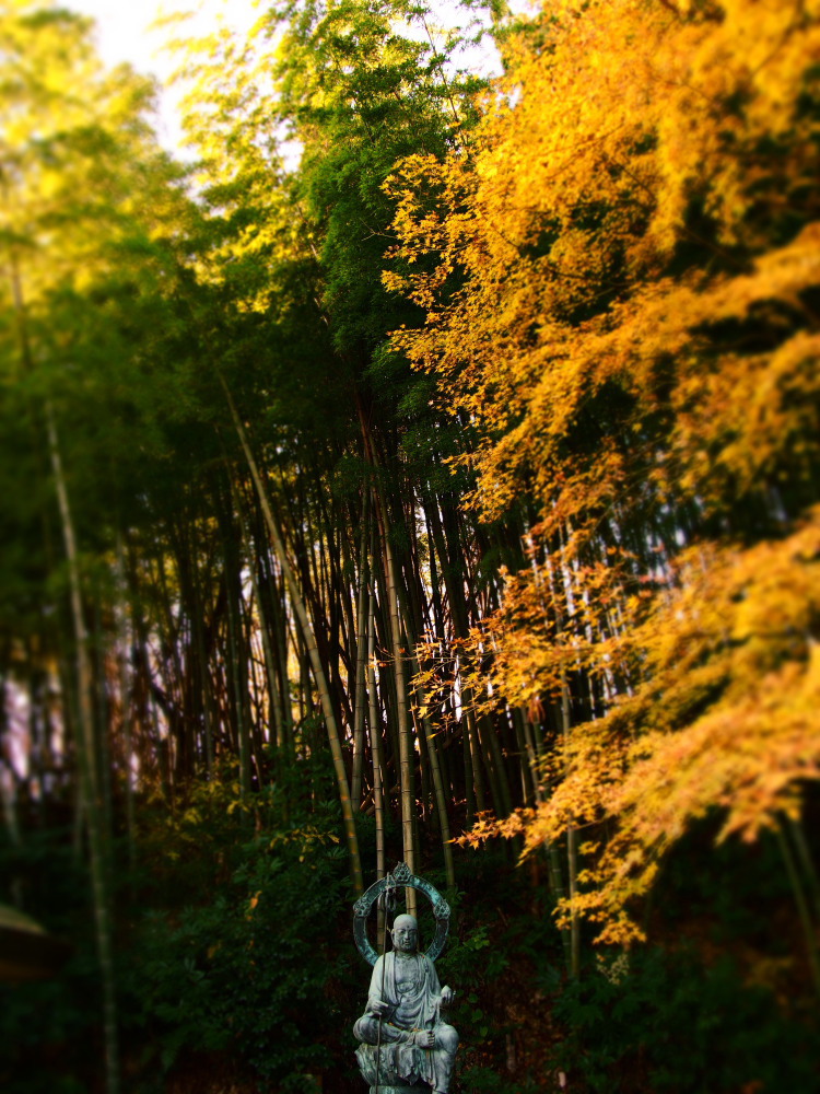 菩薩