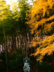 菩薩