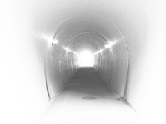 弥彦のトンネル
