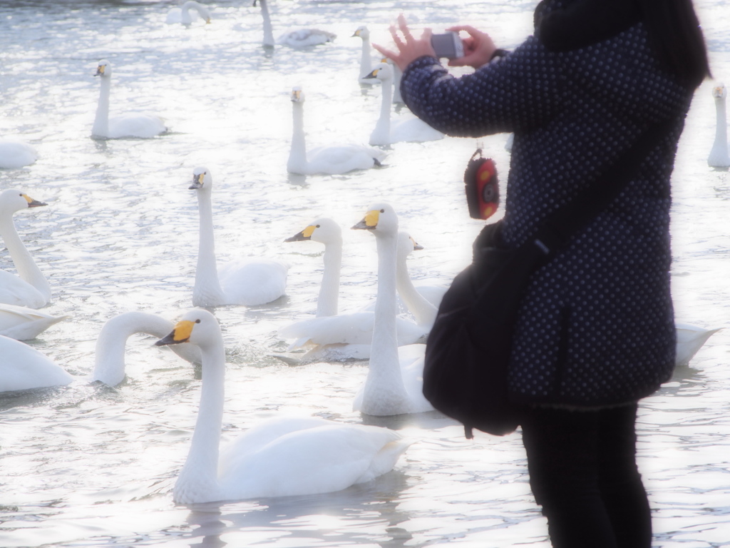 写真撮ってるのよ～