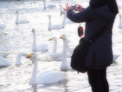 写真撮ってるのよ～