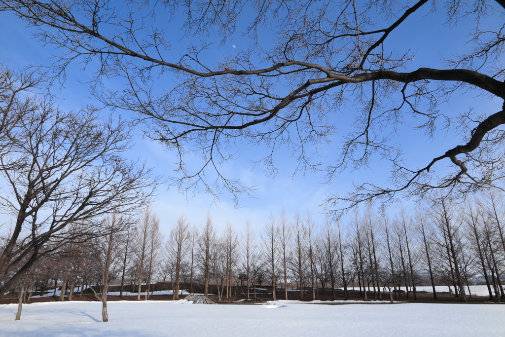 3月の空