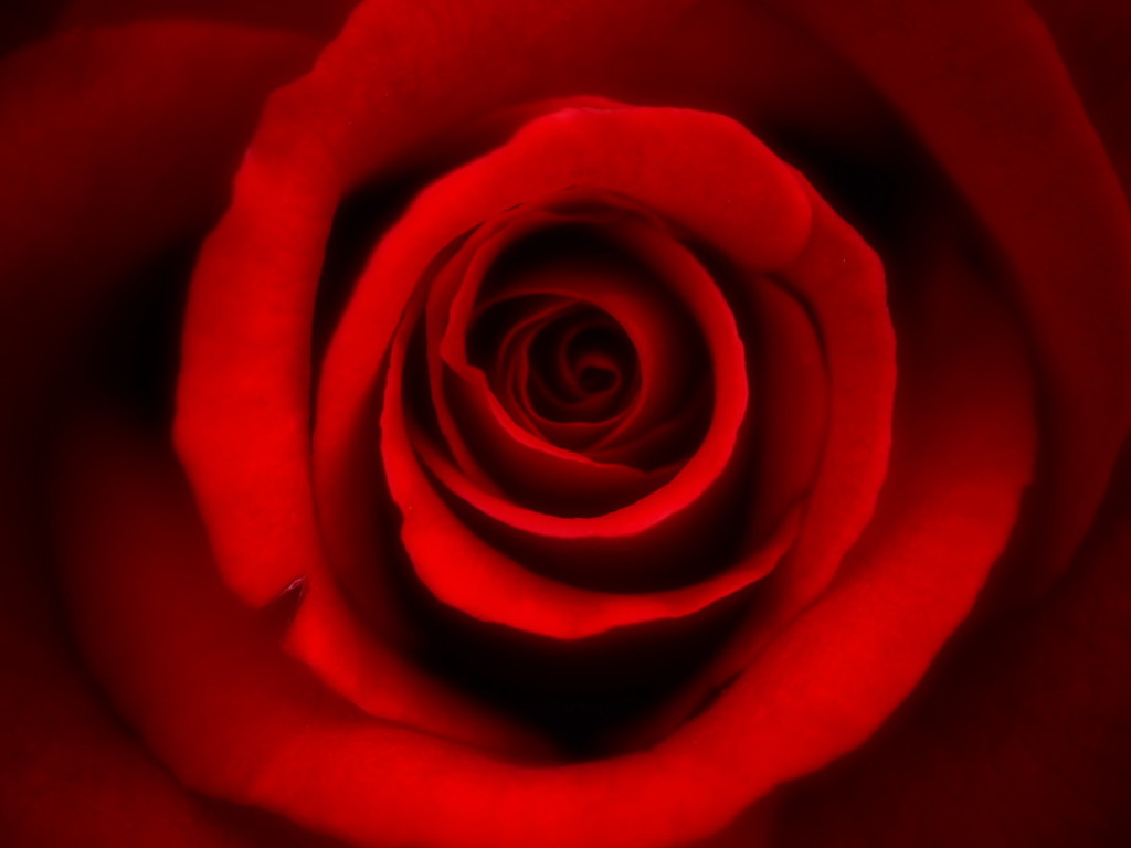 レッド・スパイラル