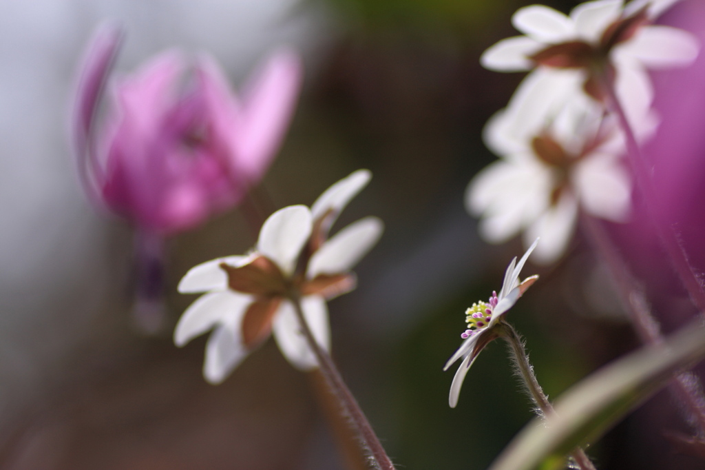 お兄ちゃんを見上げながら