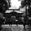 雨の初詣