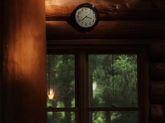 森の時間