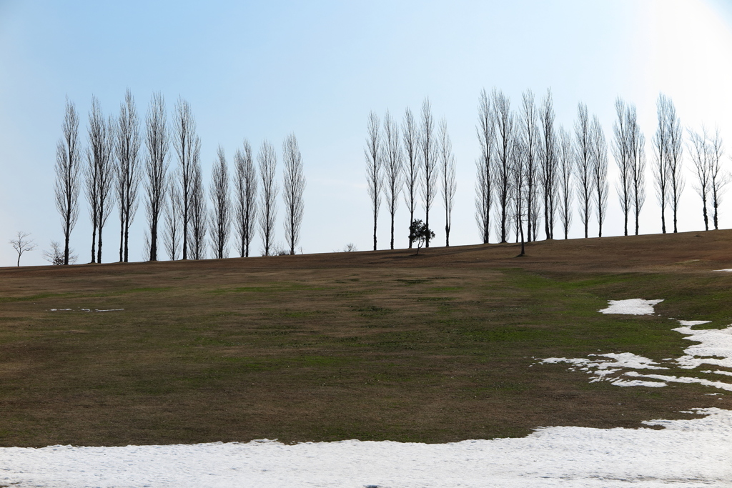 早春の丘陵公園1