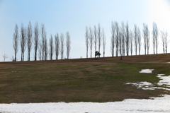 早春の丘陵公園1