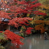 清水園の秋08
