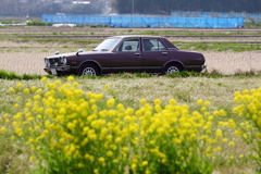 昭和のクルマ