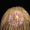長岡の花火07