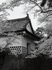 城陰