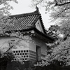 城陰