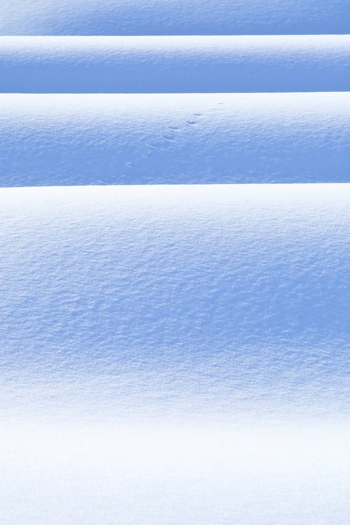 ふわふわた雪