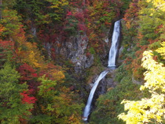 竜ノ門の滝