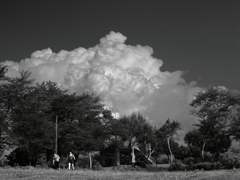 夏雲湧く