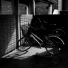 チャリン光