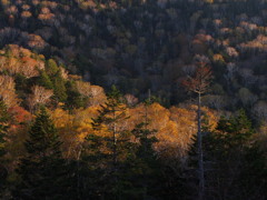 御池峠