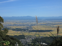 実りの越後平野