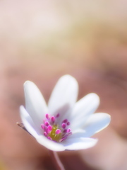 目覚め