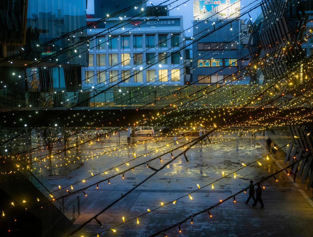 Golden Snow