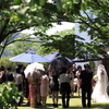 6月の花嫁