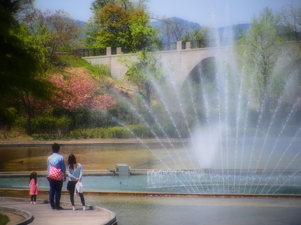 音楽噴水を見る