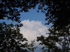 夏の扉