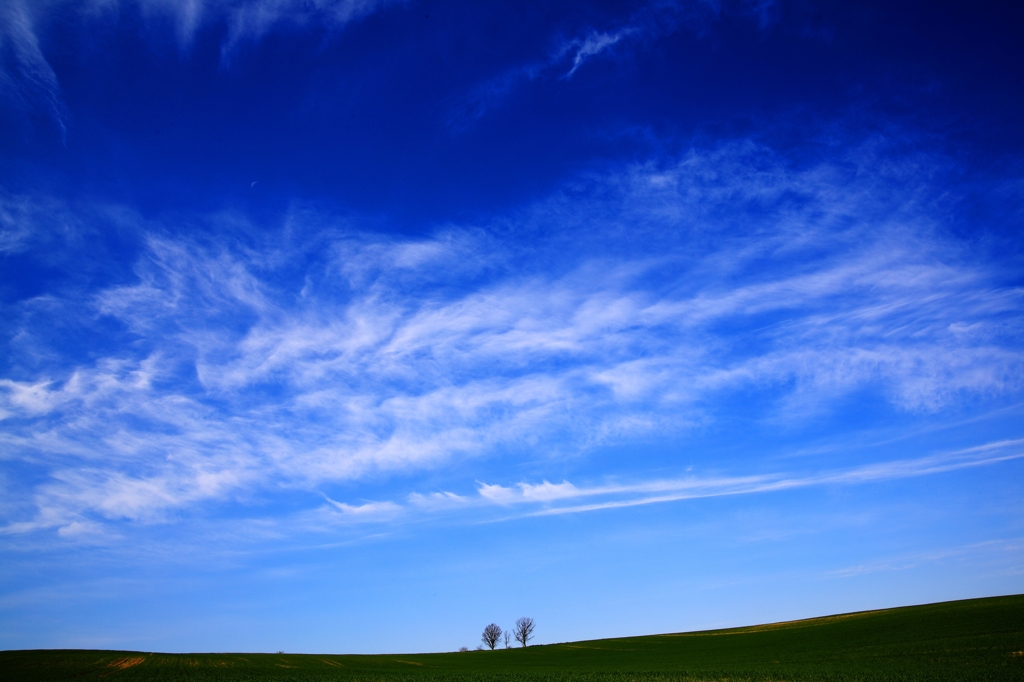 見上げる空