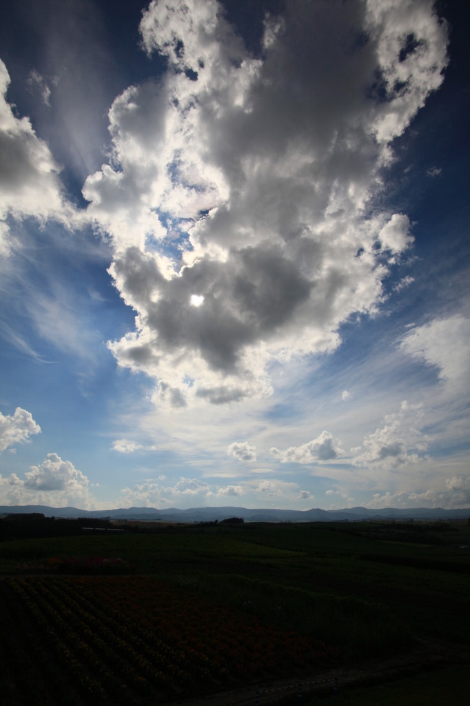 空と大地の対話