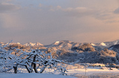 雪のある景色