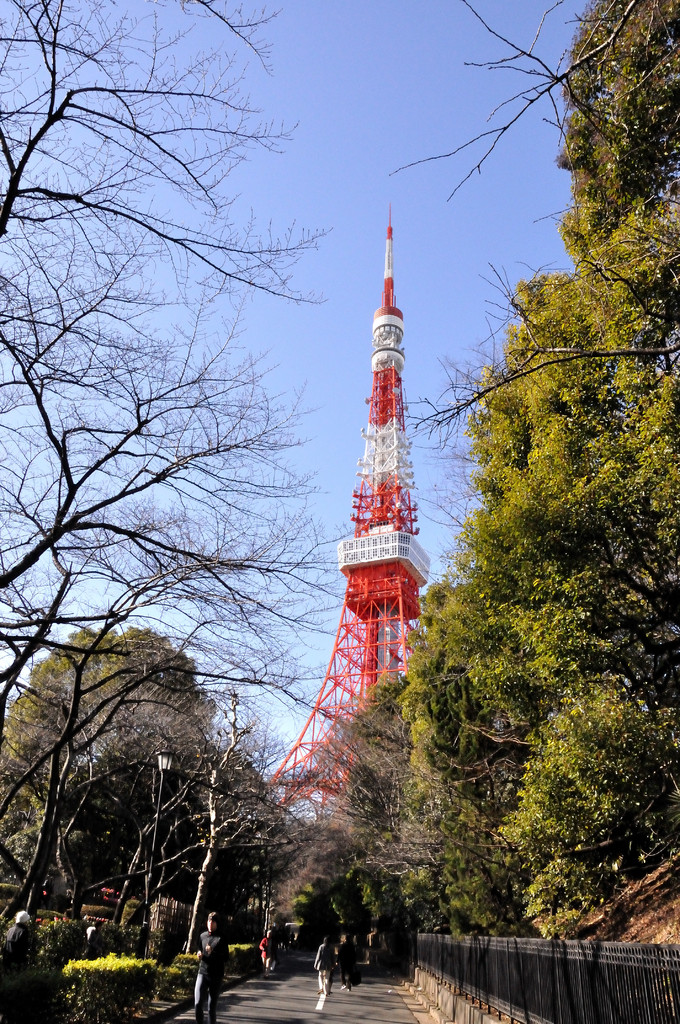 初めての東京タワー