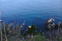 海岸