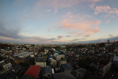 IMGP1274