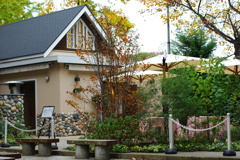 IMGP1073
