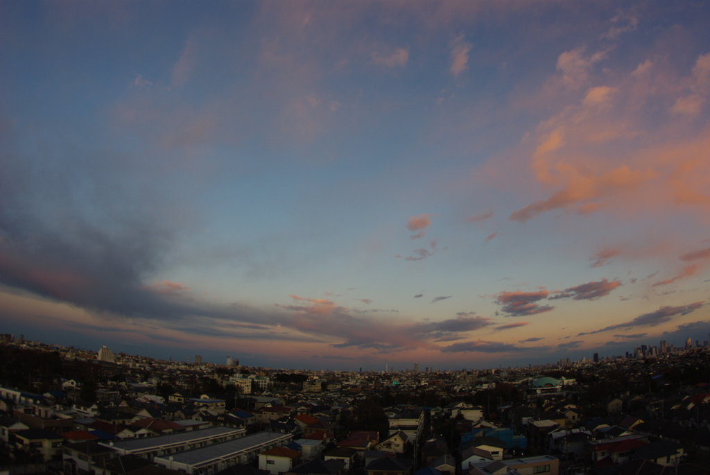 IMGP1269