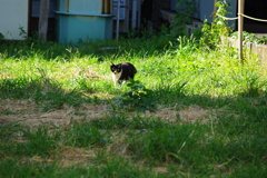 IMGP1043