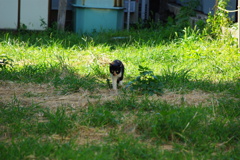 IMGP1044