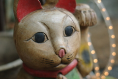 IMGP0965