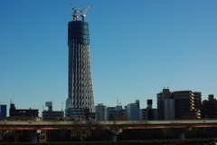 IMGP1232
