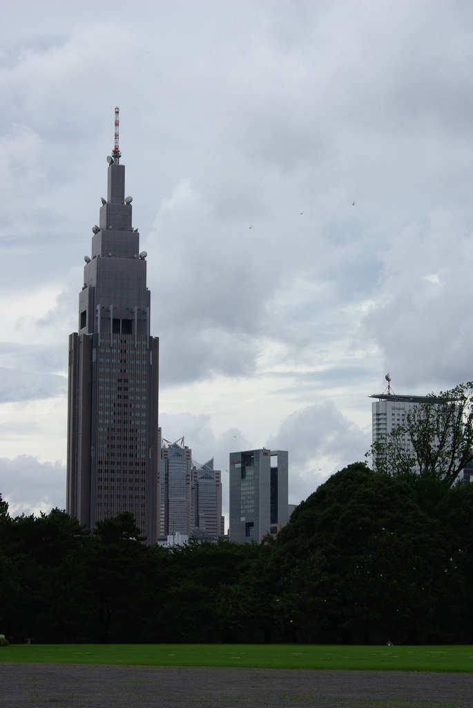 IMGP0989