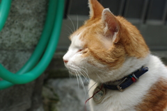 IMGP0968