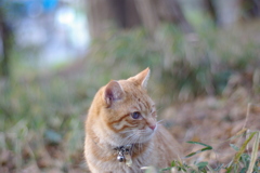 IMGP0932