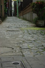 IMGP0934
